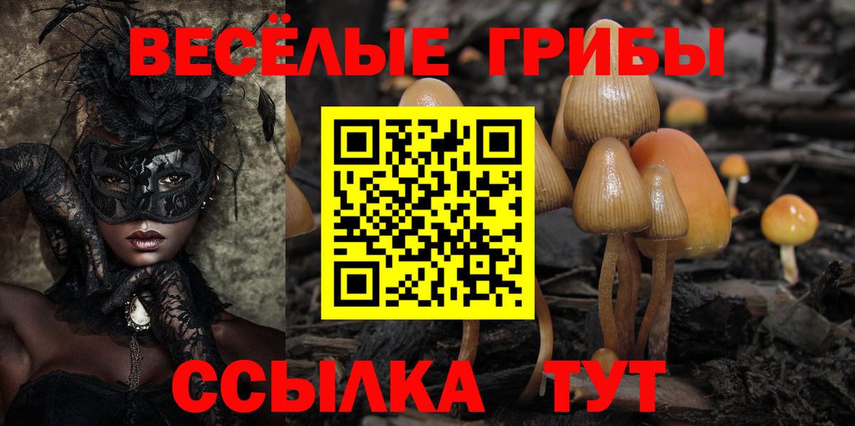 Ревда  как найти   Вход с VPN  Псилоцибиновые грибы мухоморы 